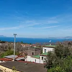 Salvatorosa