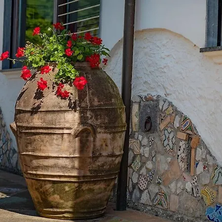 Salvatorosa